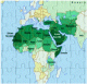 Puzzle personnalise 120 pieces : Les musulmans dans le monde (avec le prenom de l'enfant)